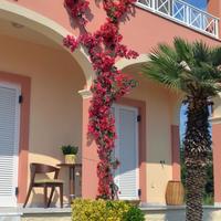 Villa in Greece, 160 sq.m.