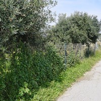 Land plot in Greece