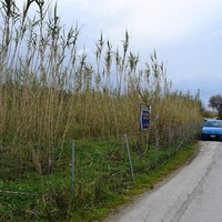 Land plot in Greece