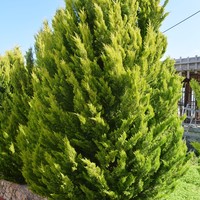 Земельный участок в Греции