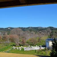 Отель (гостиница) в Греции, 600 кв.м.