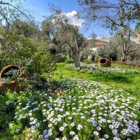 Отель (гостиница) в Греции, 1170 кв.м.