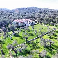 Отель (гостиница) в Греции, 1170 кв.м.