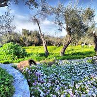 Отель (гостиница) в Греции, 1170 кв.м.