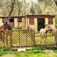 Отель (гостиница) в Греции, 1170 кв.м.