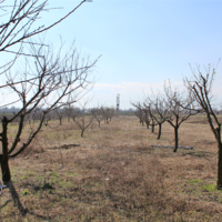 Земельный участок в Греции