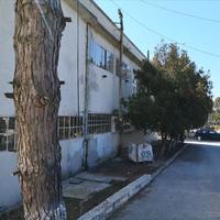 Business center in Greece, 2945 sq.m.