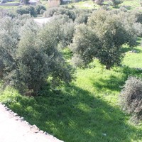 Other in Greece, 35 sq.m.