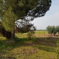 Other in Greece, 190 sq.m.