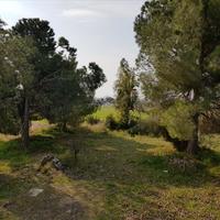 Other in Greece, 190 sq.m.