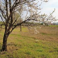 Other in Greece, 190 sq.m.