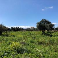 Земельный участок в Греции