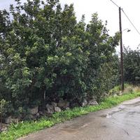 Земельный участок в Греции