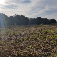 Земельный участок в Греции