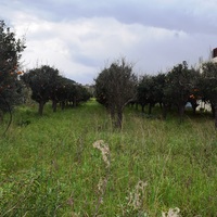 Land plot in Greece