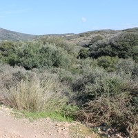 Land plot in Greece