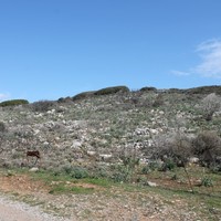 Земельный участок в Греции