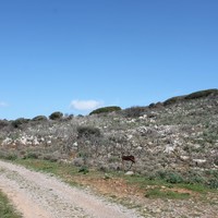 Земельный участок в Греции