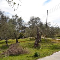 Land plot in Greece