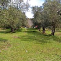 Land plot in Greece