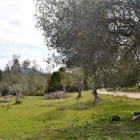 Земельный участок в Греции