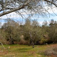 Земельный участок в Греции