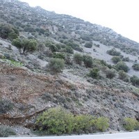 Land plot in Greece