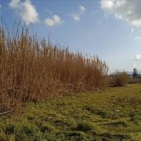 Земельный участок в Греции