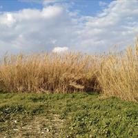 Земельный участок в Греции