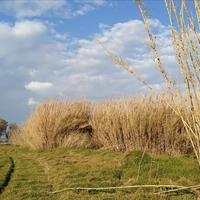 Земельный участок в Греции