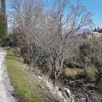 Land plot in Greece