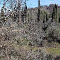 Land plot in Greece