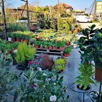 Business center in Greece, 3000 sq.m.