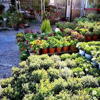 Business center in Greece, 3000 sq.m.