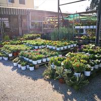 Business center in Greece, 3000 sq.m.