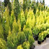 Business center in Greece, 3000 sq.m.