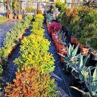 Business center in Greece, 3000 sq.m.