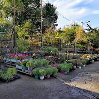 Business center in Greece, 3000 sq.m.