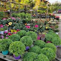 Business center in Greece, 3000 sq.m.