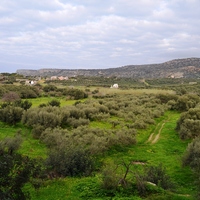 Land plot in Greece