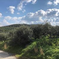 Land plot in Greece
