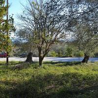 Land plot in Greece