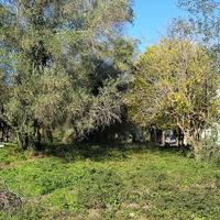Land plot in Greece