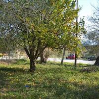 Land plot in Greece