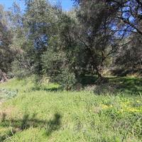 Land plot in Greece