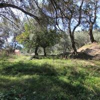 Land plot in Greece