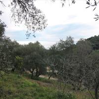 Land plot in Greece
