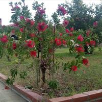 Другое в Греции, 161 кв.м.