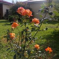 Другое в Греции, 161 кв.м.