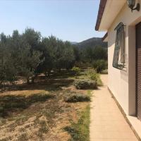 Другое в Греции, 161 кв.м.